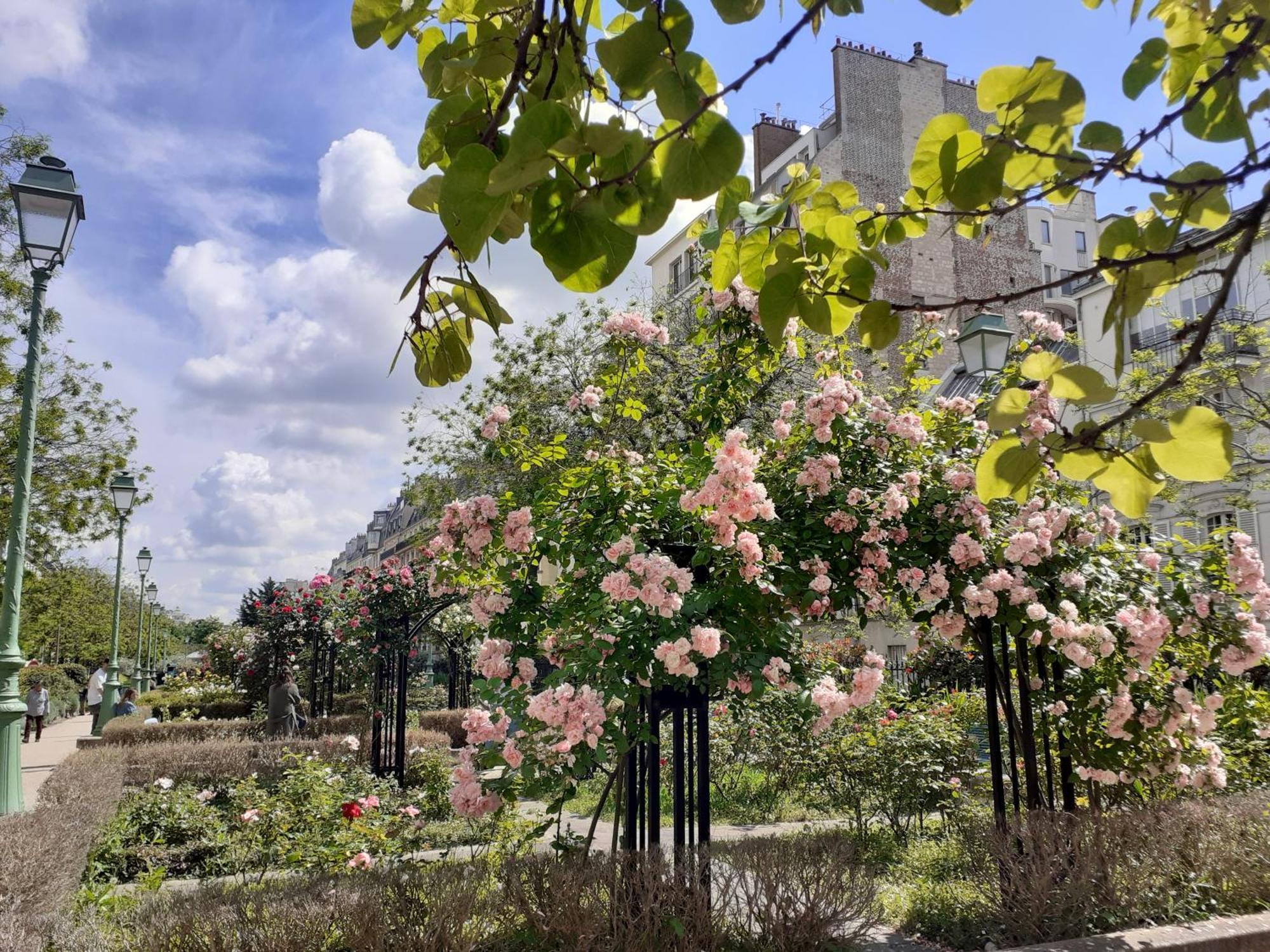 Marie Et Igor Bed & Breakfast Paris Luaran gambar